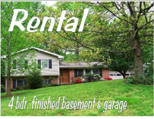horseshoe-rental.jpg